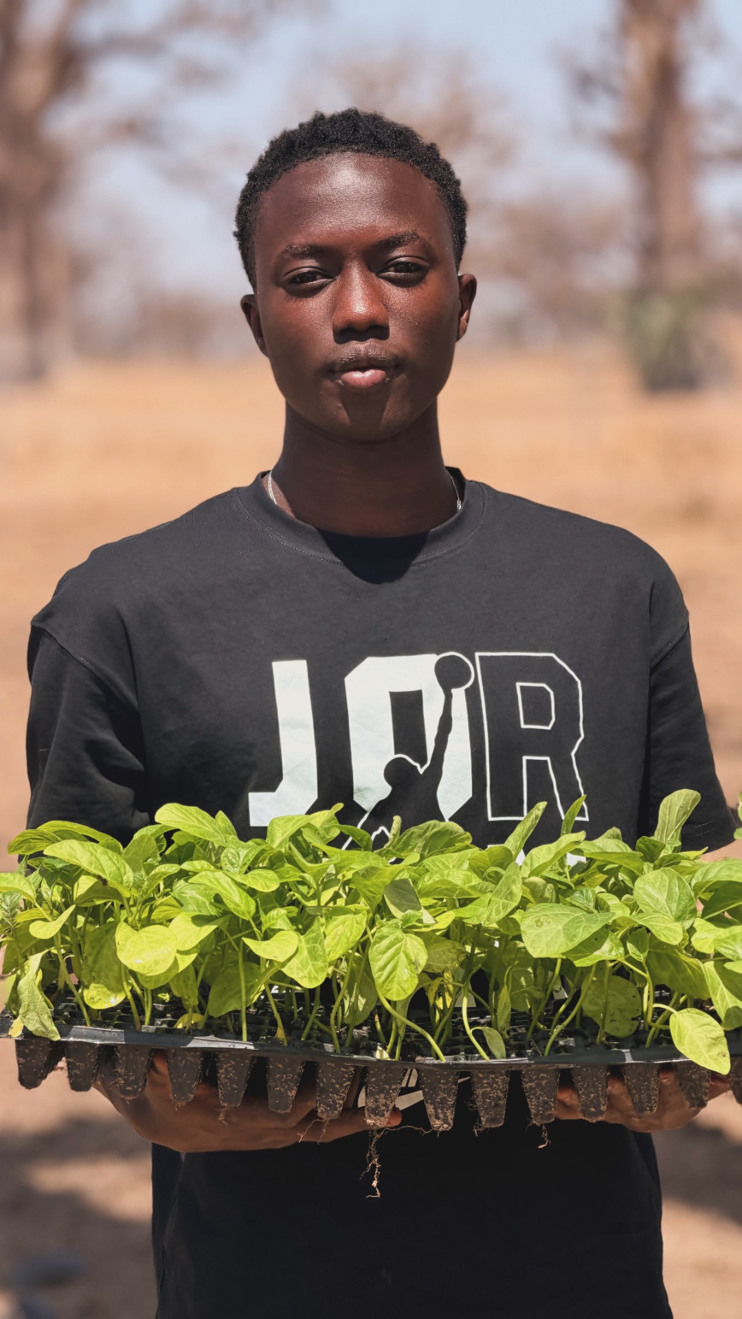 Jeunes plants SAGROVA