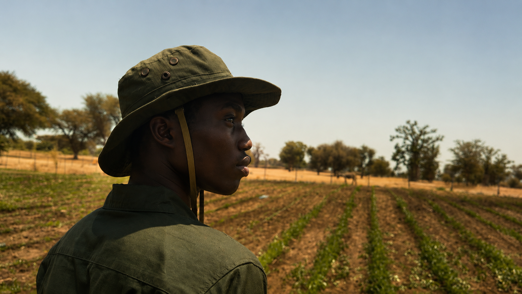 Jeune agriculteur sénégalais contemplant les champs cultivés