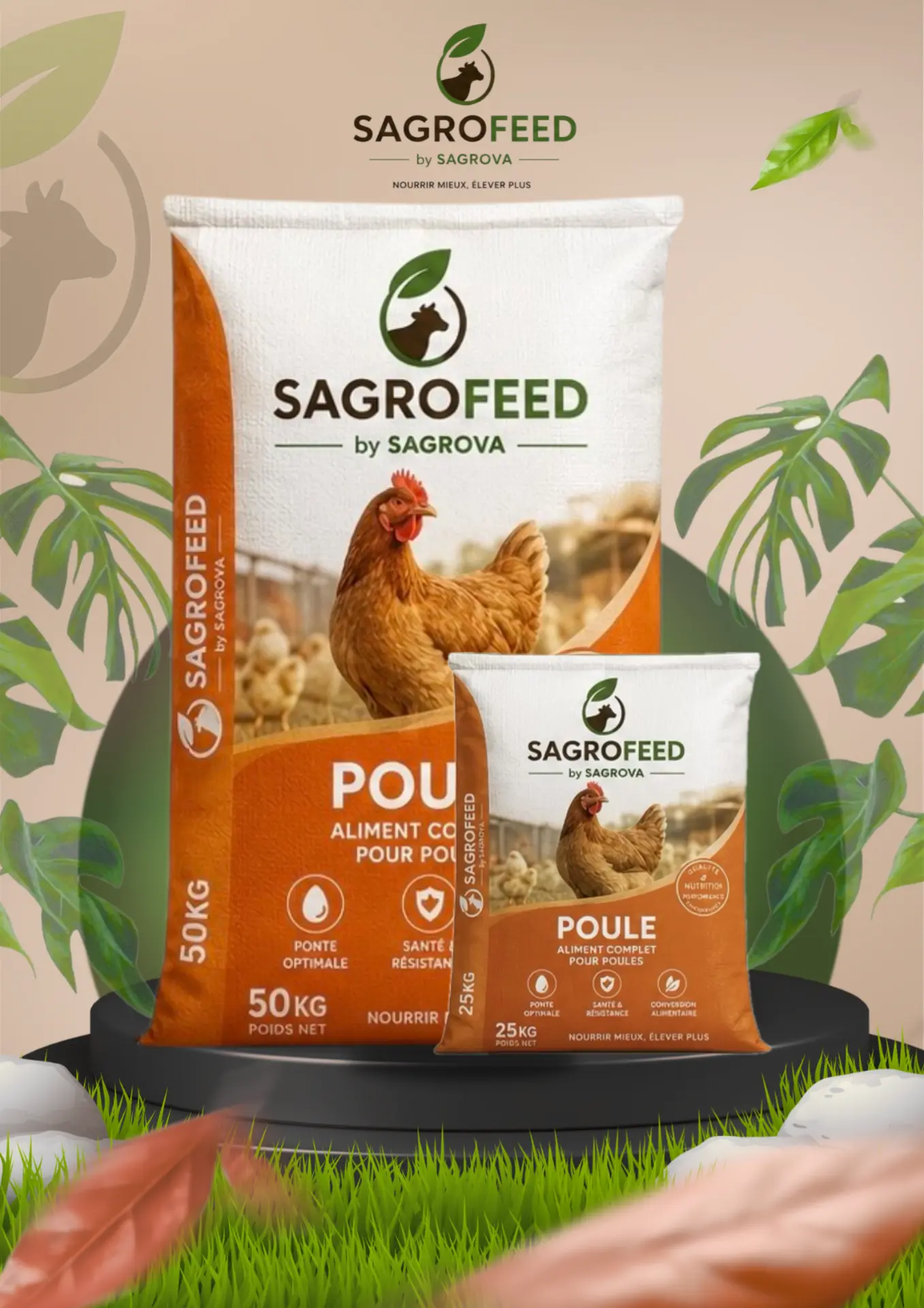 SAGROFEED Poule